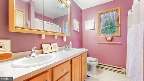 128 Rooney Ct, Bushkill, PA 18324 photo 20