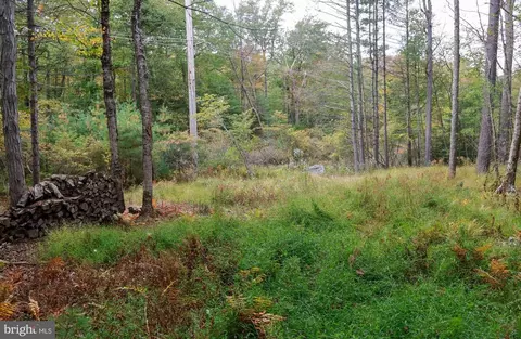 00 Park Rd, Dingmans Ferry, PA 18328 photo 21