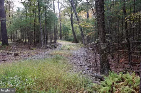 00 Park Rd, Dingmans Ferry, PA 18328 photo 30