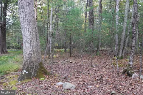 00 Park Rd, Dingmans Ferry, PA 18328 photo 13