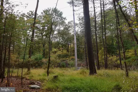 00 Park Rd, Dingmans Ferry, PA 18328 photo 17