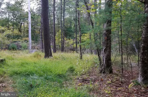 00 Park Rd, Dingmans Ferry, PA 18328 photo 16