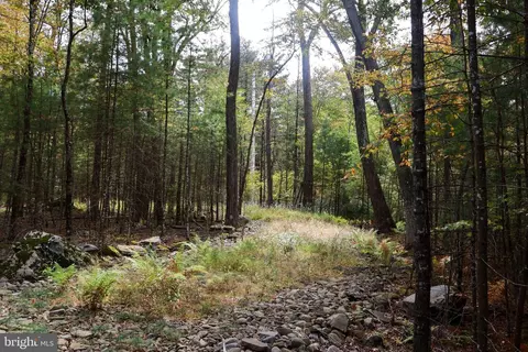00 Park Rd, Dingmans Ferry, PA 18328 photo 24