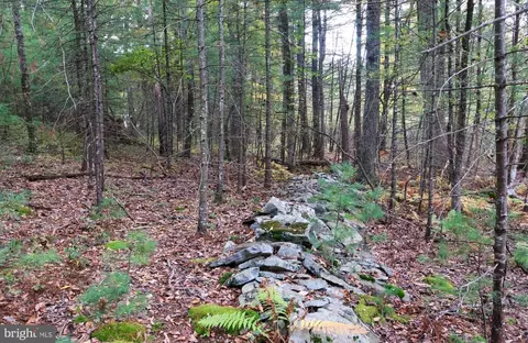 00 Park Rd, Dingmans Ferry, PA 18328 photo 22