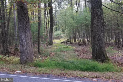 00 Park Rd, Dingmans Ferry, PA 18328 photo 8