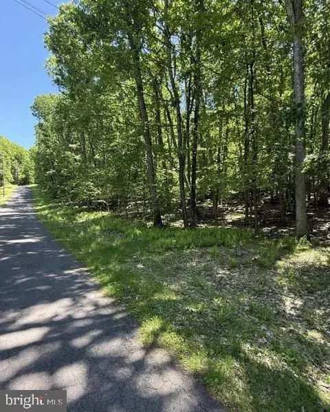 Paper Birch N, Tafton, PA 18464