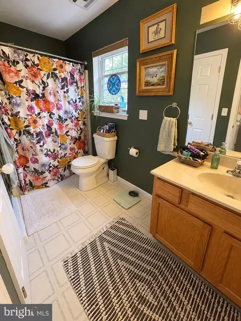 Bath - 6043 Decker Rd, Bushkill, PA 18324 photo 4 of 4