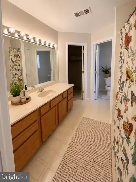 Bath - 6043 Decker Rd, Bushkill, PA 18324 photo 3 of 4