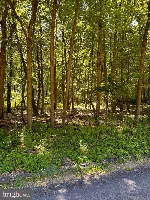 0 Kline Hollow Rd #LOT 2, Liverpool, PA 17045
