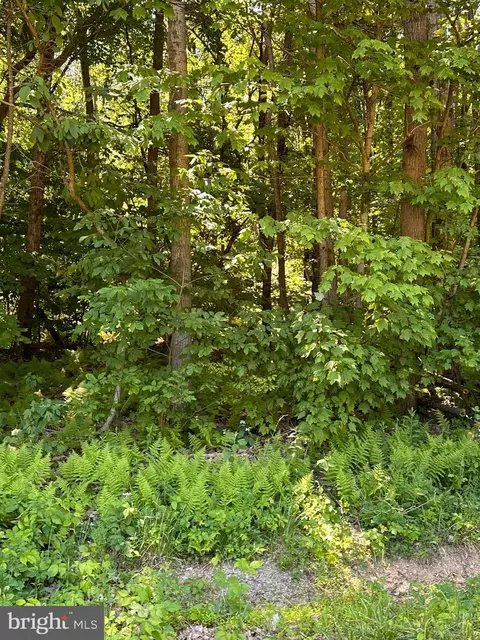 0 Kline Hollow Rd #LOT 5, Liverpool, PA 17045