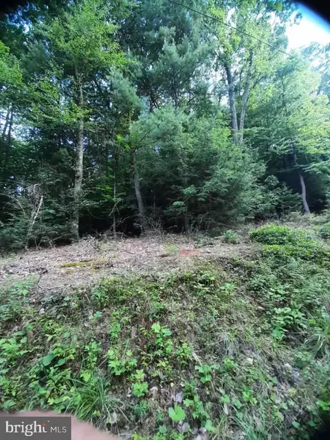 0 Rupp Rd, Elliottsburg, PA 17024