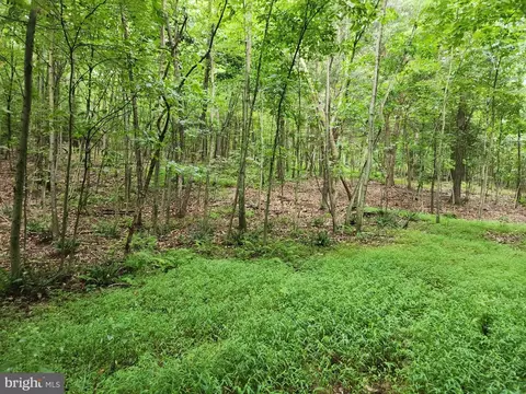 Lot Knotty Pine, Newport, PA 17074