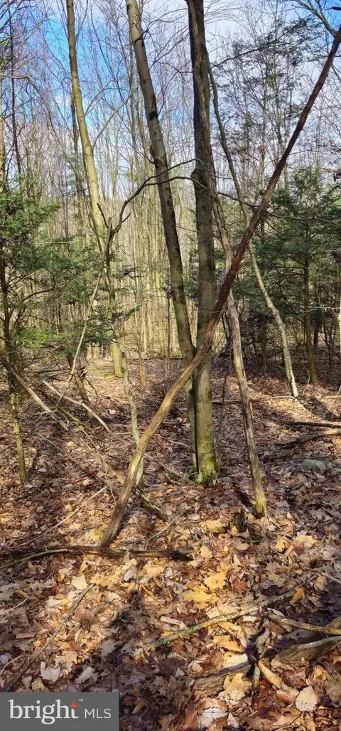 00 Soule Rd #2, New Bloomfield, PA 17068