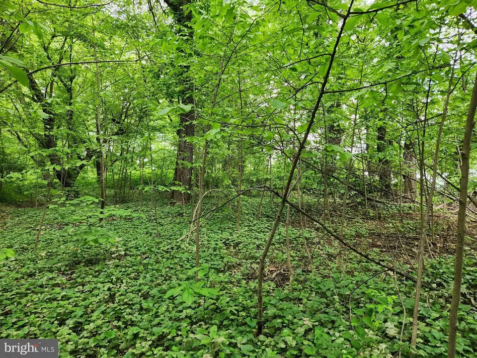  Route 00015, Liverpool, PA 17045 photo 8