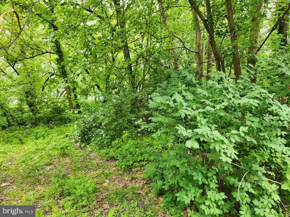  Route 00015, Liverpool, PA 17045 photo 9