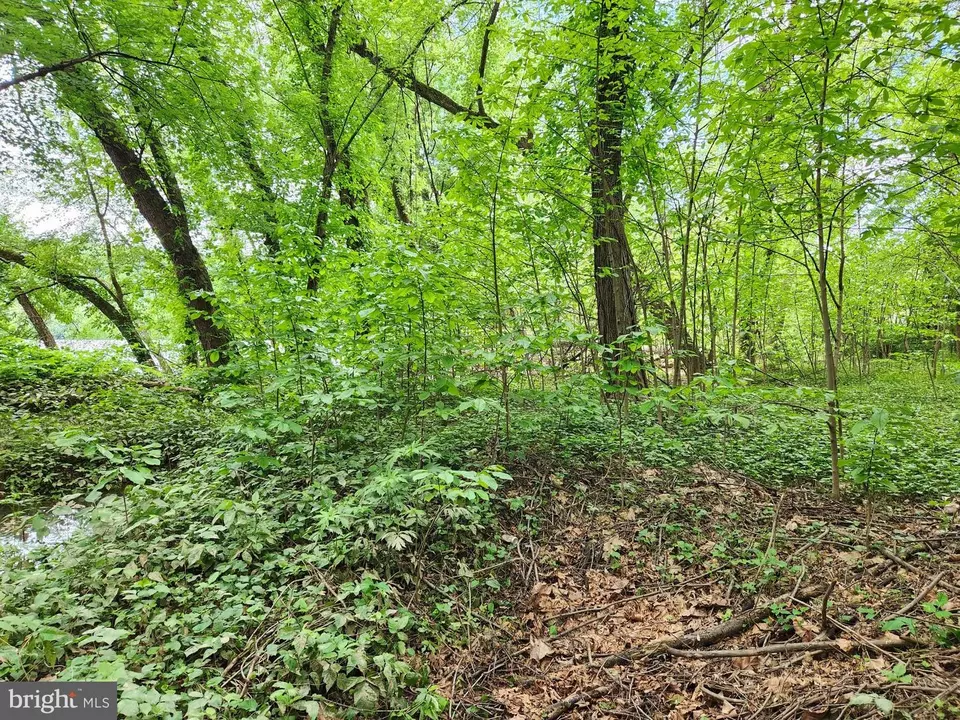  Route 00015, Liverpool, PA 17045 photo 7