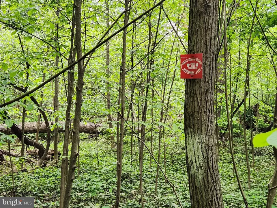  Route 00015, Liverpool, PA 17045 photo 6