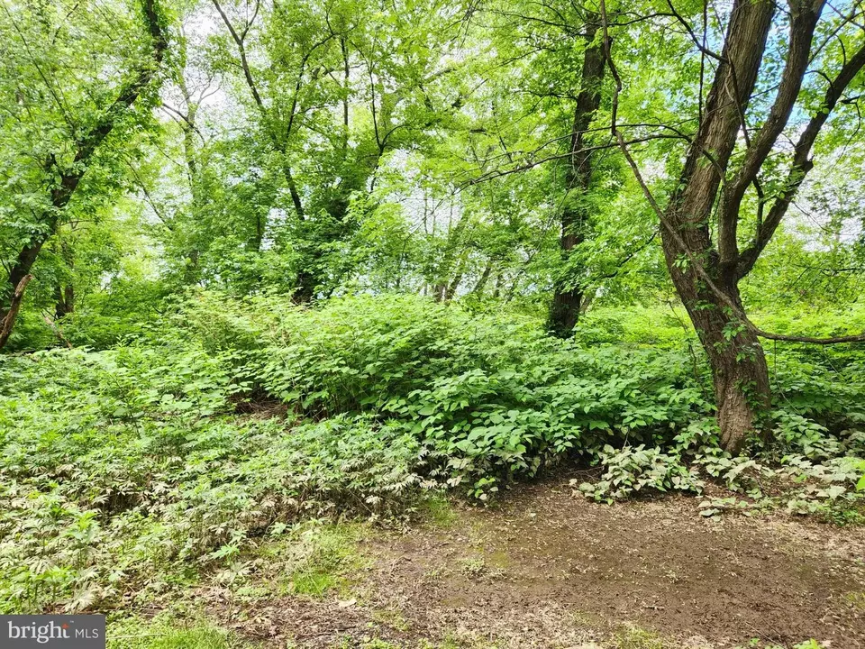  Route 00015, Liverpool, PA 17045 photo 3