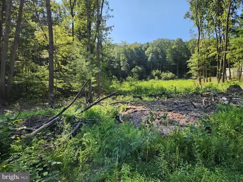 150 Kline Hollow Rd, Liverpool, PA 17045