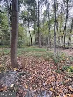 lot5 Clouser Hollow Rd, New Bloomfield, PA 17068