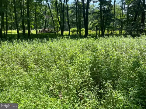 0 Blue Mountain Rd, Schuylkill Haven, PA 17972