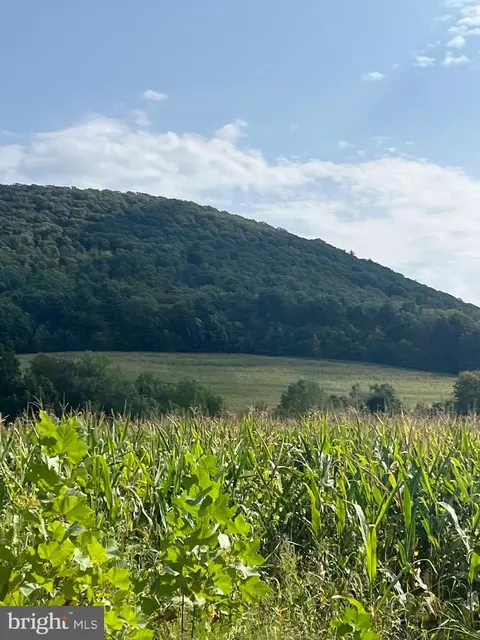 0 Ridge Rd, Klingerstown, PA 17941