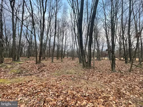 53 Saint Moritz Dr, Zion Grove, PA 17985