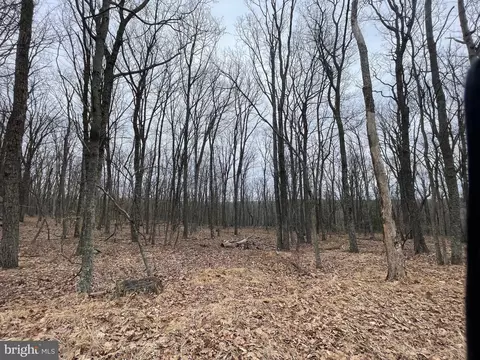 459-460 Spring Mountain Dr, Zion Grove, PA 17985
