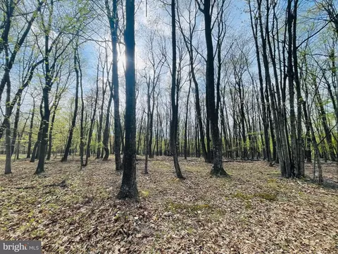 55 Saint Moritz Dr, Zion Grove, PA 17985