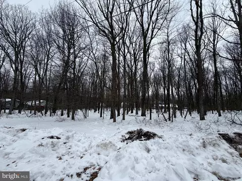 64 Jay Peak Ln, Zion Grove, PA 17985