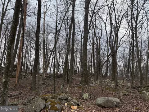 lot287 1 Spring Mountain Dr, Zion Grove, PA 17985