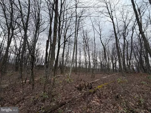 lot287 2 Spring Mountain Dr, Zion Grove, PA 17985