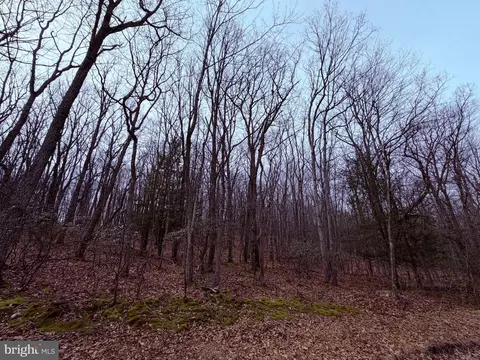 461 Spring Mountain Dr, Zion Grove, PA 17985