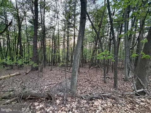 2394 Crow Foot Dr, Auburn, PA 17922