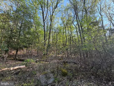 462 Spring Mountain Dr, Zion Grove, PA 17985