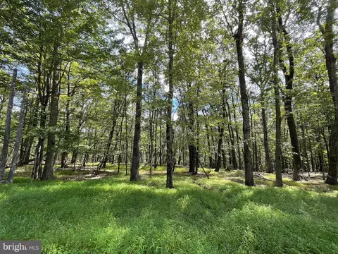 116 Spring Mountain Dr, Zion Grove, PA 17985