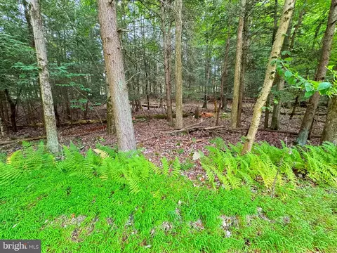 lot12 S 1 Orion Way, Lake Ariel, PA 18436