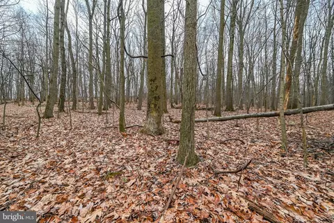 0 Stoverstown #1, Spring Grove, PA 17362