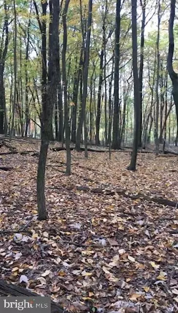 1490 Tower Rd, York, PA 17406