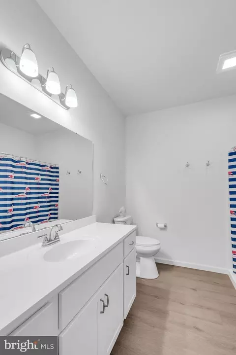 Bath - 7459 Saint Patrick Ct, Abbottstown, PA 17301 photo 1 of 1