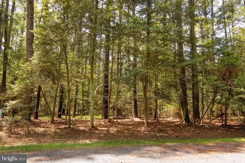 lot537 Skipper Ct, Greenbackville, VA 23356