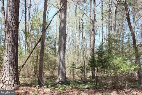 2207 Saber Ct, Greenbackville, VA 23356