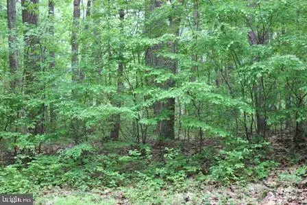 127 Raider Ct, Greenbackville, VA 23356