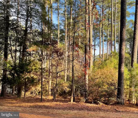 Lot 502 Driftwood Drive, Greenbackville, VA 23356