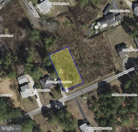 Lot 288 N Hibiscus Drive, Chincoteague Island, VA 23336
