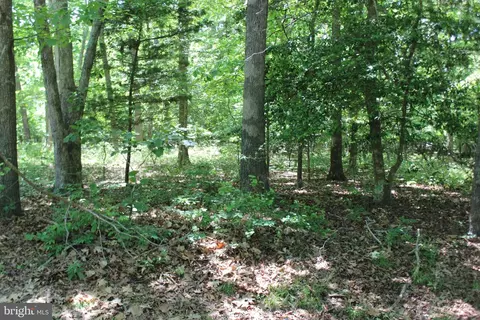 2427 Brigantine Blvd, Greenbackville, VA 23356