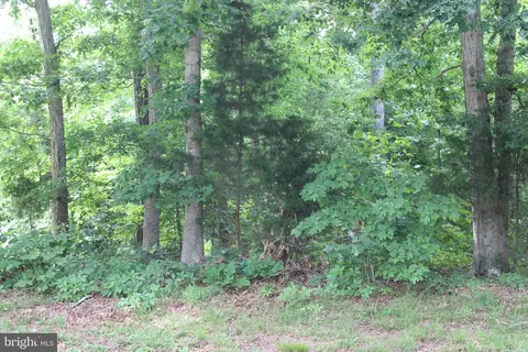 2403 Clipper Ct, Greenbackville, VA 23356