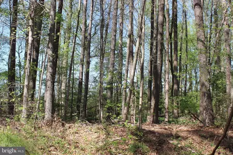 2086 Cutlass Ct, Greenbackville, VA 23356