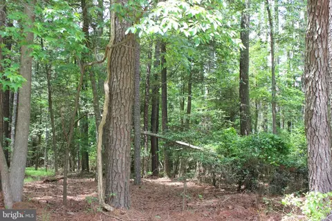 871 Broadside Dr, Greenbackville, VA 23356