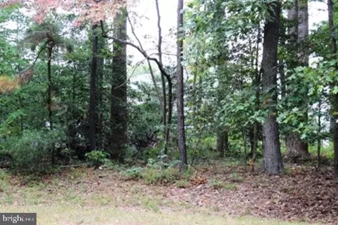 56 Trident Ct, Greenbackville, VA 23356